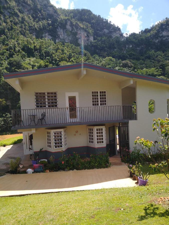 Casa De Campo Rio Arriba Arecibo Exteriér fotografie