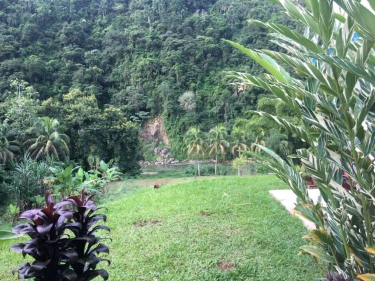 Casa De Campo Rio Arriba Arecibo Exteriér fotografie
